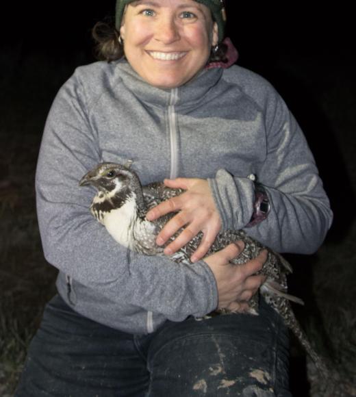 Gail L. Patricelli