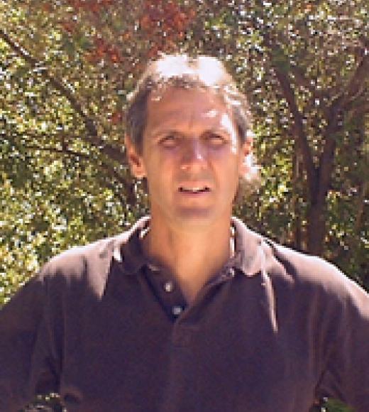 David Neale