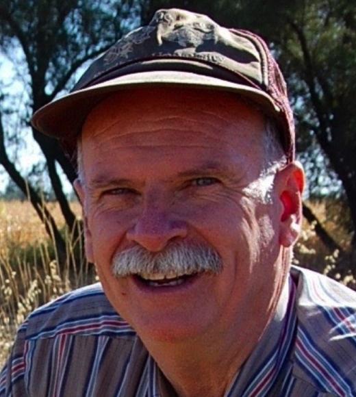 Truman P. Young
